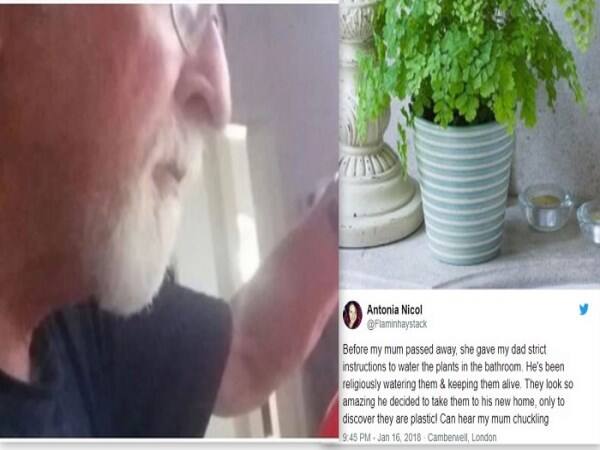 Woman tells husband to water her plants after she passes away. Years later he discovers they're plastic