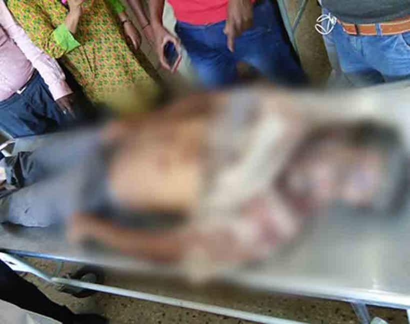 Forest fire: IFS officer killed in elephant attack in Mysuru [PIcs]