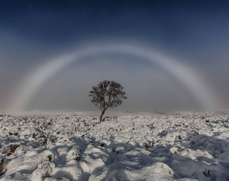 rare white rainbow