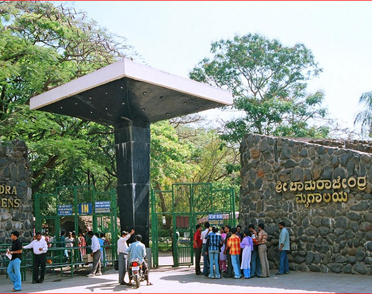 RBI Adopts animals from chamarajendra zoo