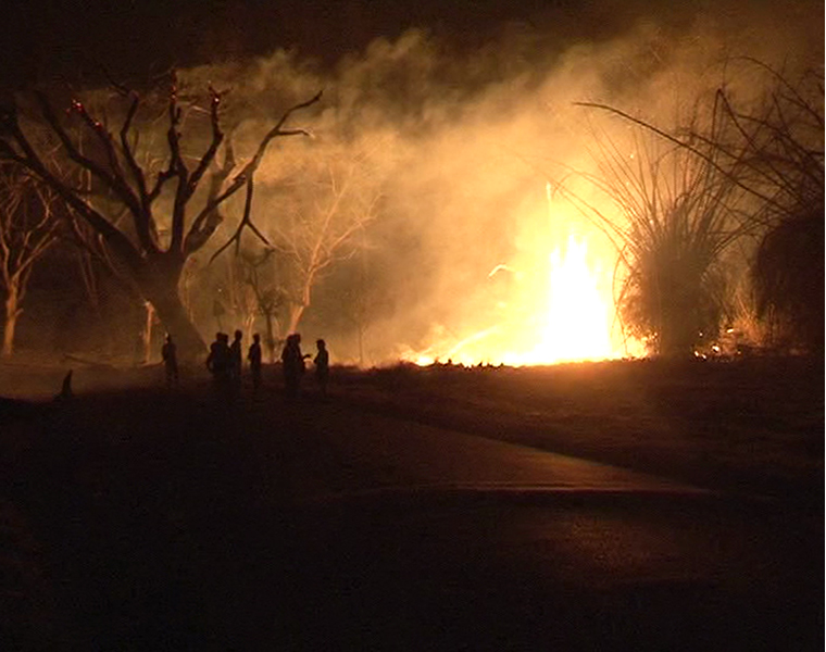 Major Fire Breaks Out At Bandipur Tiger Reserve Safari Bandh