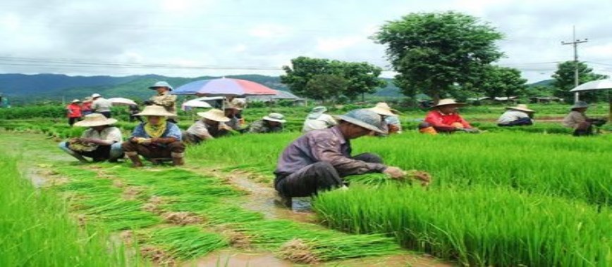 samba season-water-is-not-available-the-situation-will