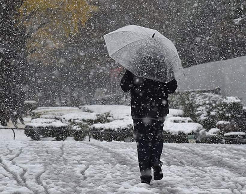 Experience of first snow is nothing less than love at first sight