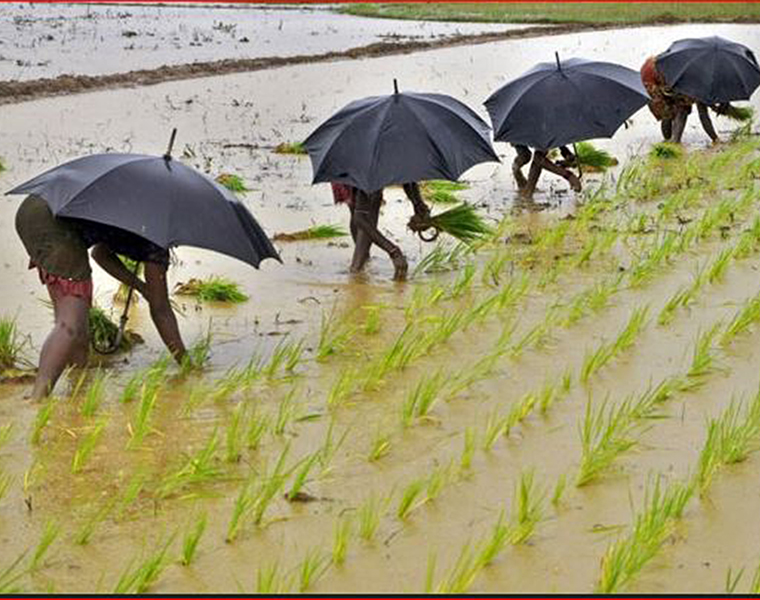 Karnataka  Monsoon ends with 8percent deficit rainfall snr