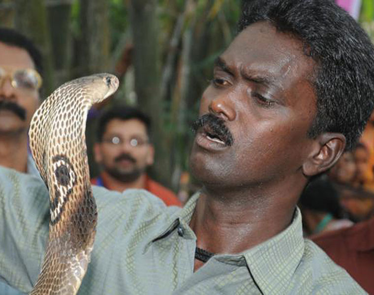 Vava suresh snake bite hoax news