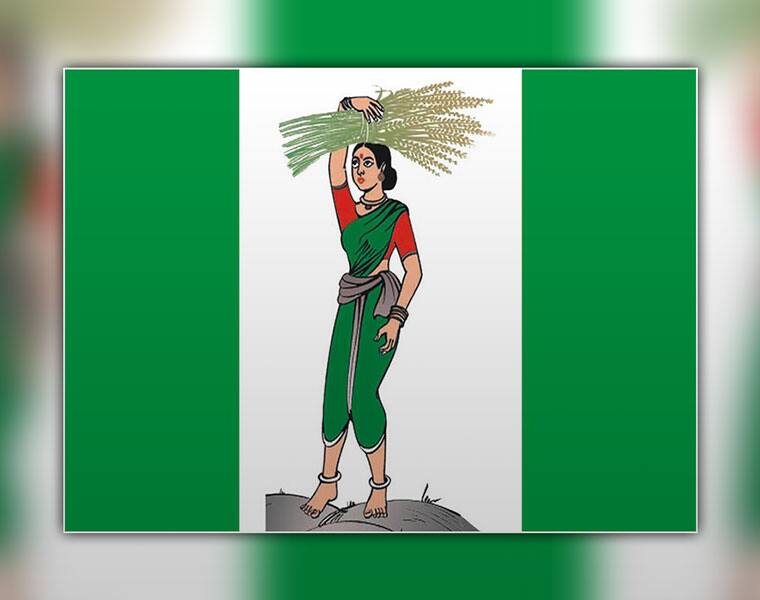 JDS flag
