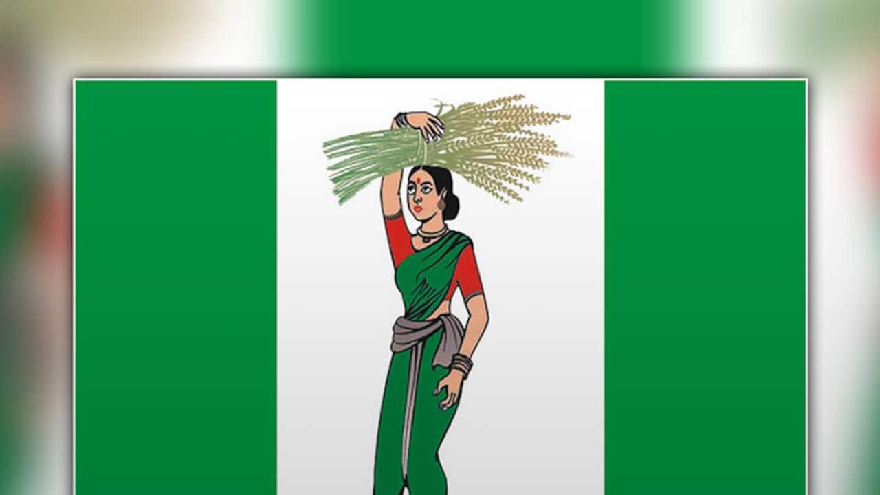 JDS flag