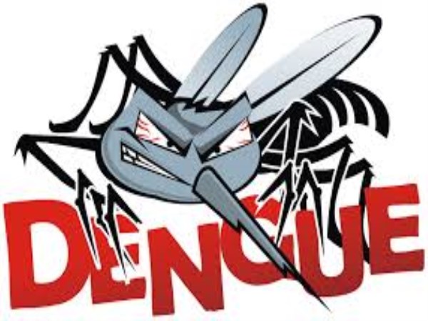 Dengue rampant in Bengaluru: BBMP to take measures to curb source