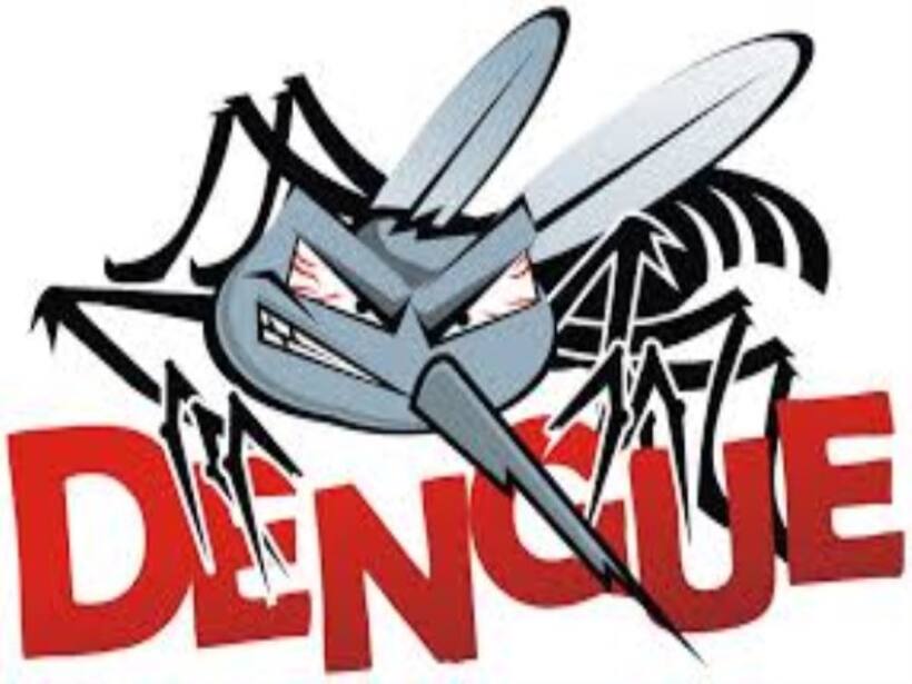 Mosquito menace: Dengue rampant in Bengaluru: BBMP to take measures to curb source