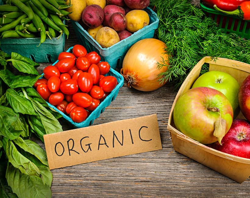 organic farming:  సేంద్రీయ వ్యవసాయంతో లాభాలెన్నో..