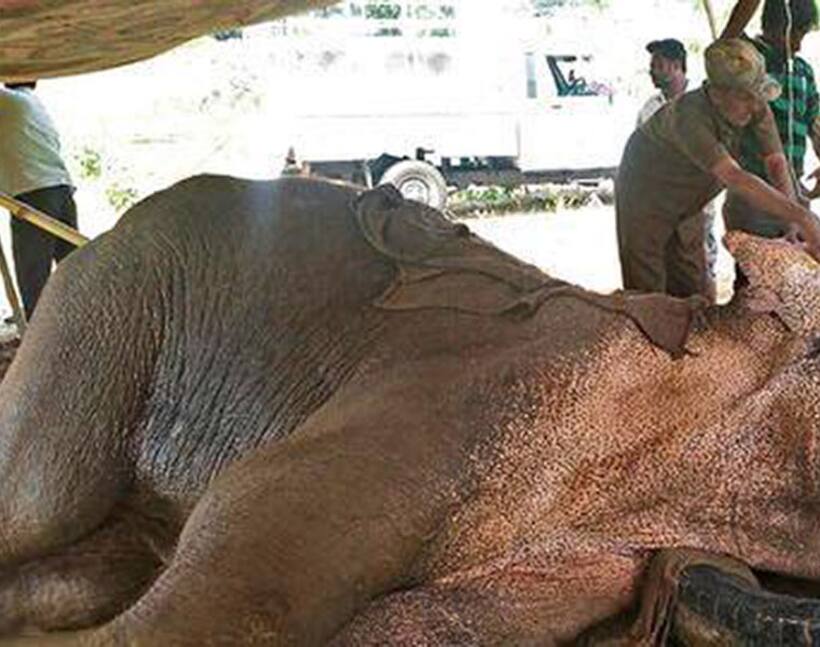 Jumbo task: Sidda is improving, say sources