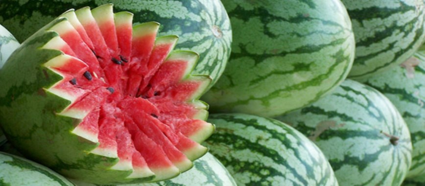 lakhs to-70-days-of-income-dragon-watermelon