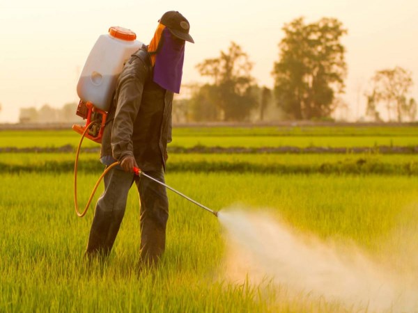 The consequences of using pesticides are ...