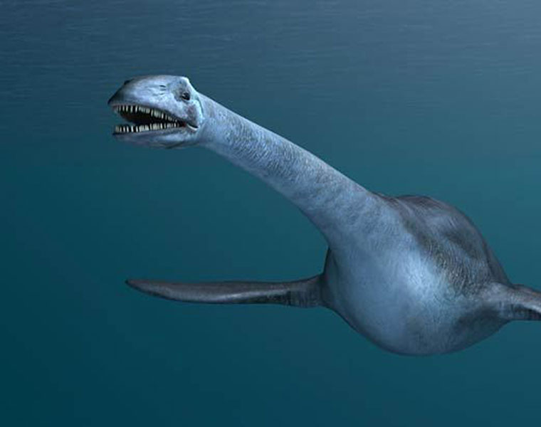 Plesiosaur Ancient Sea Monster Discovered in Antarctica