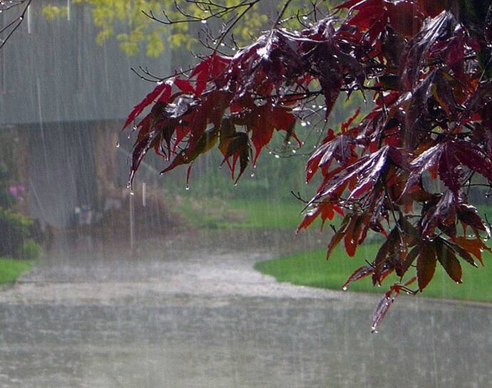 Rain Kerala