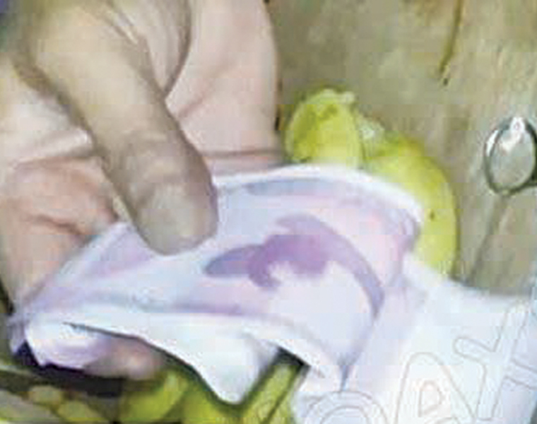 Viral Check Cash Inside Banana