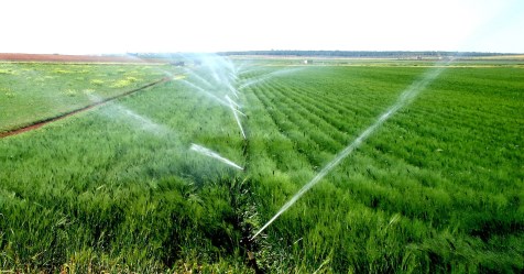 Even the required amount of water can be obtained in the paddy.