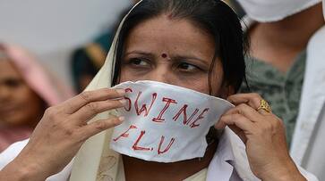 Telangana Andhra Pradesh Tamil Nadu Swine Flu Cases Scare