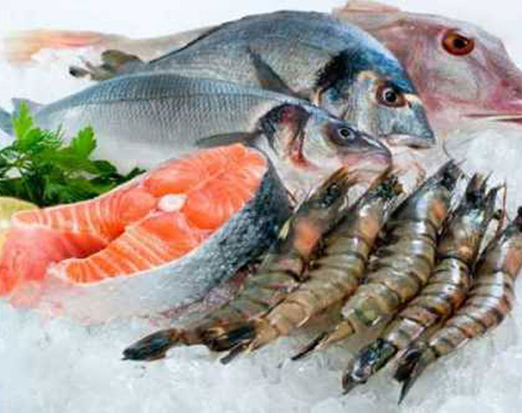 sea food export declined