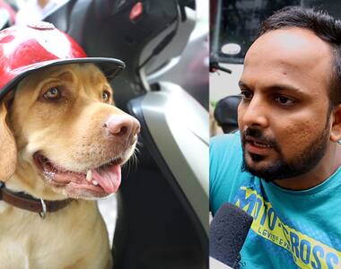 Imagine when a dog teaches you the traffic rules through barks and paws