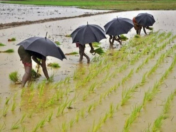 natural farming which is our ancestors followed