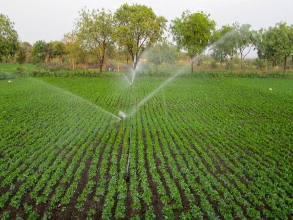 Details of irrigation water analysis and soil card details