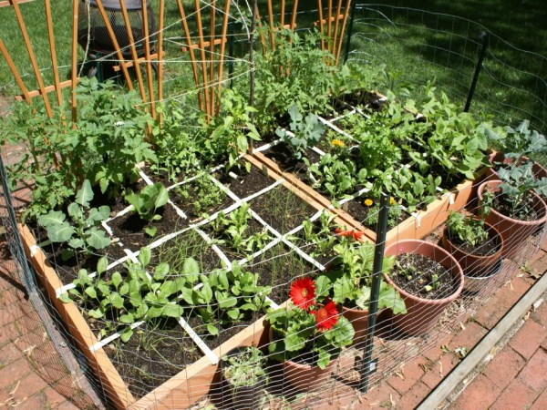 It enough to have some space in your home You can set up gardening ...