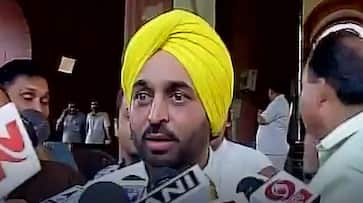 Lok Sabha election results 2019 Aam Admi Party Bhagwat Mann Sangrur survival