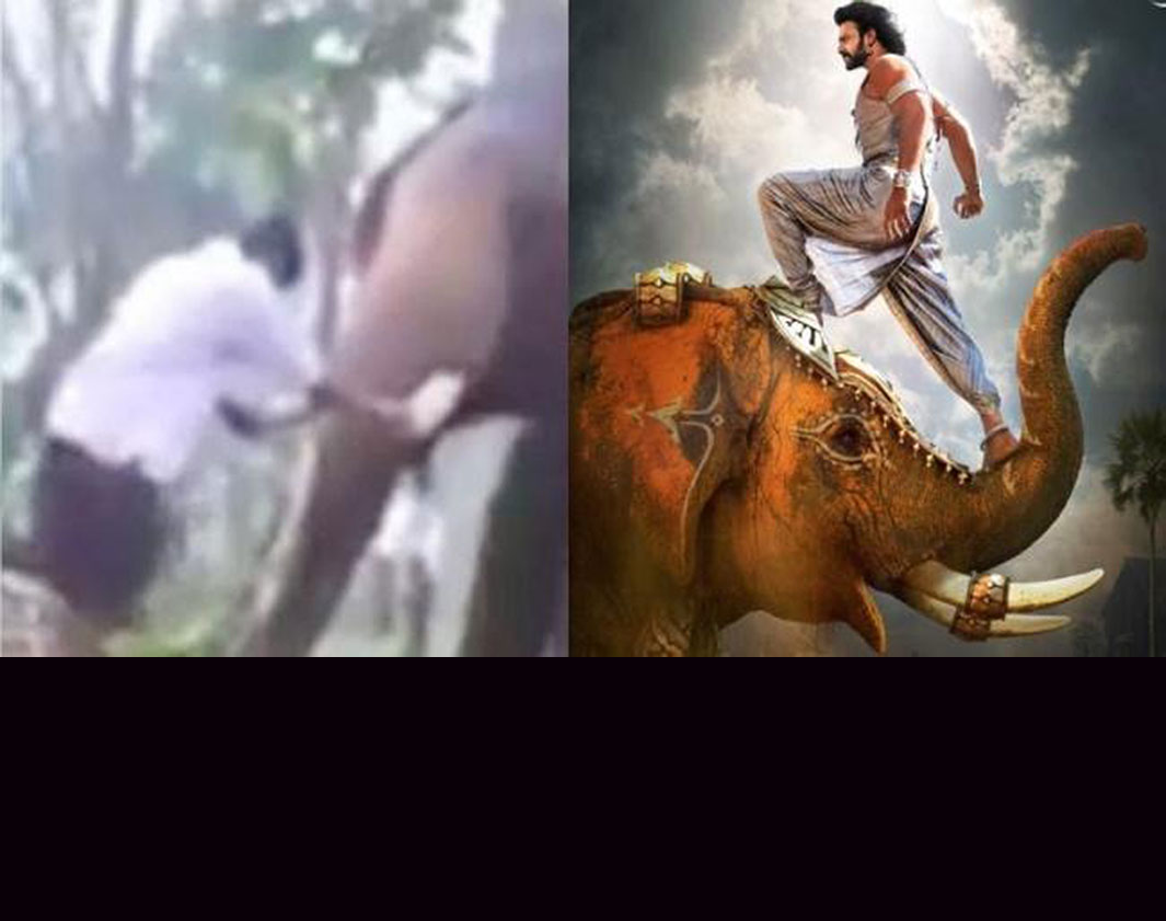 this Kerala man nails the Baahubali elephant stunt