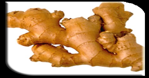 Ginger can yield up to 15 tons if this is the result of this system