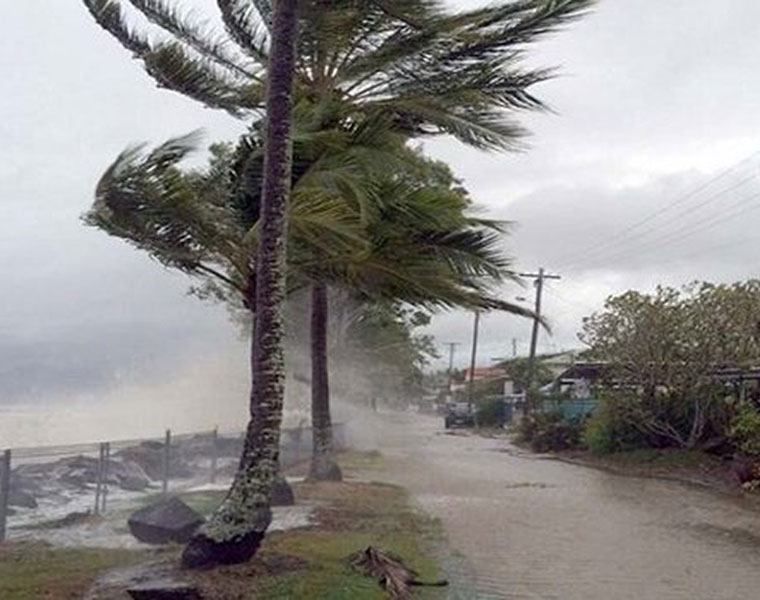 Pictures Cyclone Vadhra hits Chennai 106 trees uprooted