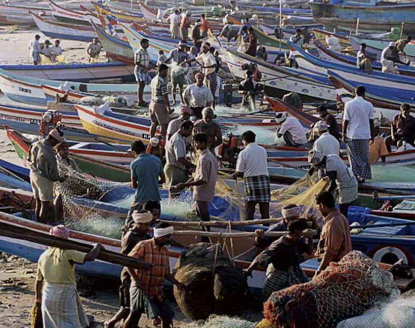 Demonetisation: Fishermen seize three buses after bank says no cash