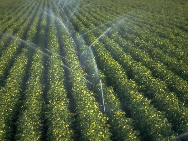 This modern water irrigation system helps to save up to 70 percent of irrigation water.