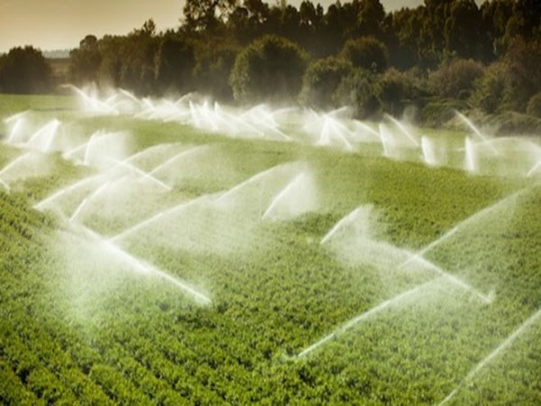 If you use this method you can profit from drought affected areas ...