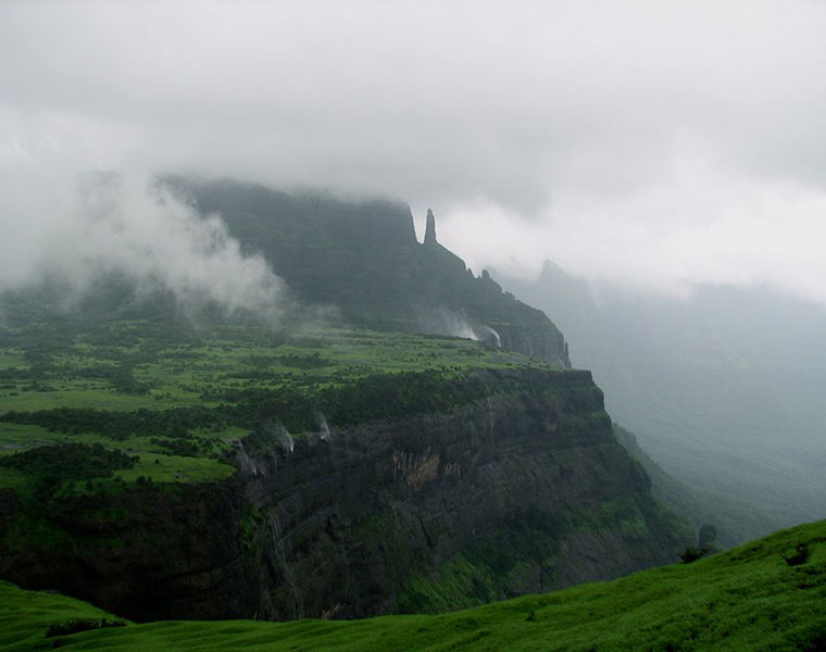 No wildfire in western ghat forest due to lockdown