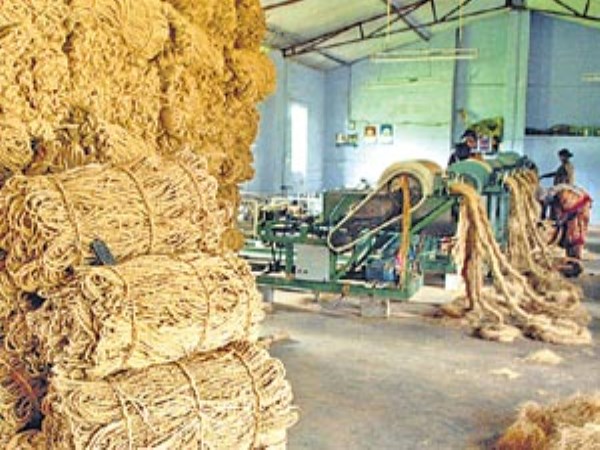 Do you want to mix in export to coconut fibers? Then this post is for you ...