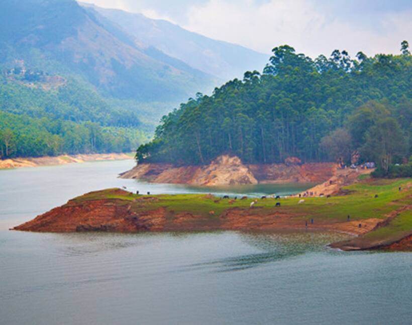 MP Rajeev Chandrasekhar questions failure of Kerala govt to prevent Munnar encroachment