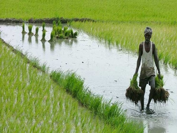 Heavy Rain Lashes in Hassan