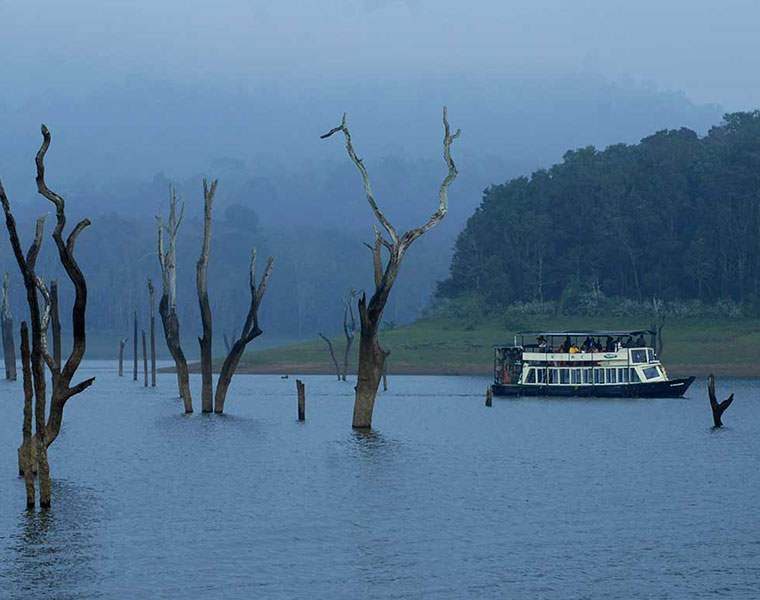 Thekkady oppened