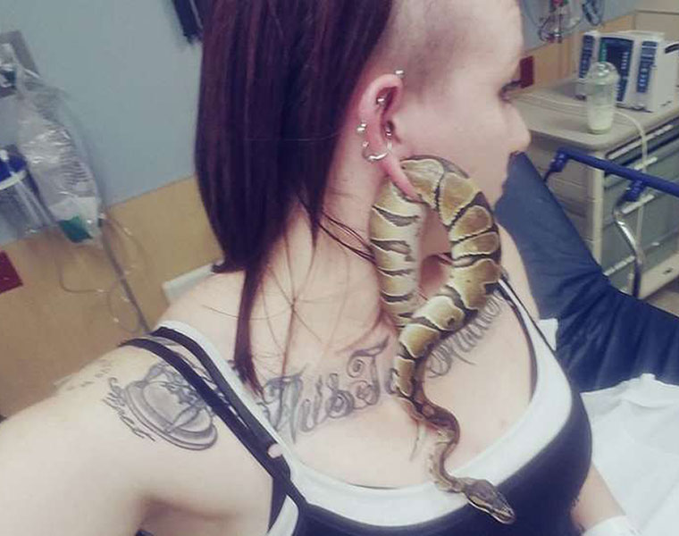 a woman got a snake stuck in her earlobe