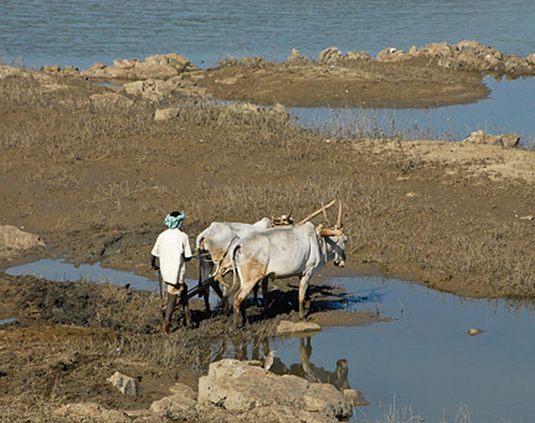 Cauvery Issue give a chance to farmers