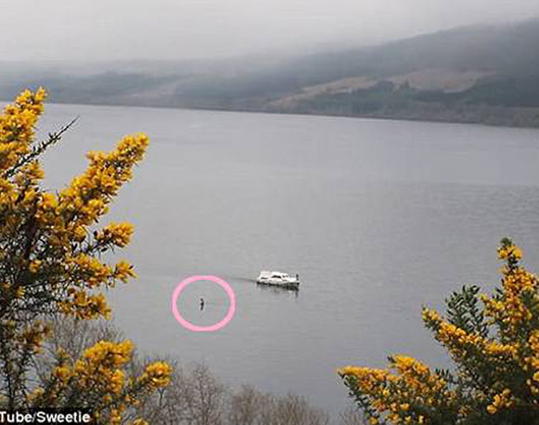 Is the Loch Ness Monster back