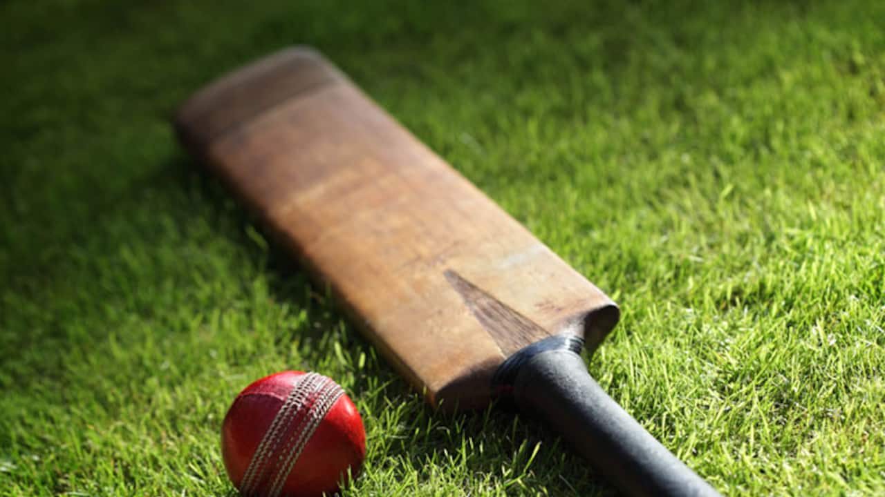 Cricket bat and ball