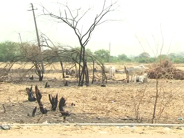 Drought crisis in Karnataka people struggle for Drinking water