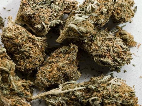 Kerala Based Accused Arrest for Selling Marijuana in Bengaluru