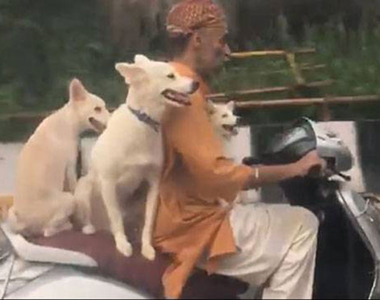 Meanwhile in India viral video