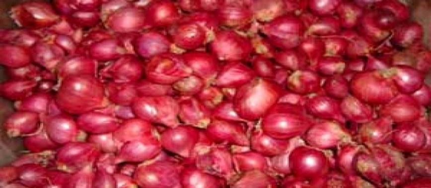 onions attacked-ways-to-alleviate-losses-ilaippenai-wil