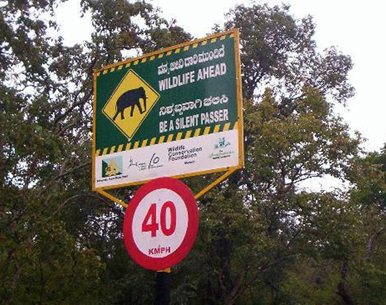 Bandipura Forest