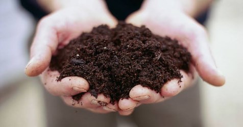 How to solve salt problems in soil