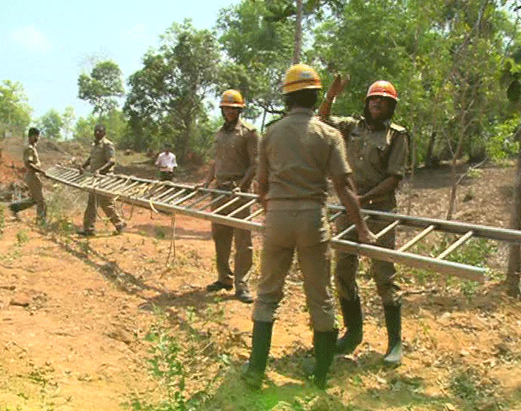 A Pair of Pythons Rescued in Udupi